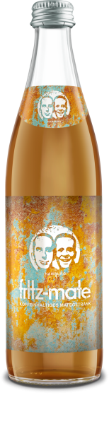 fritz mate 10x0,5l