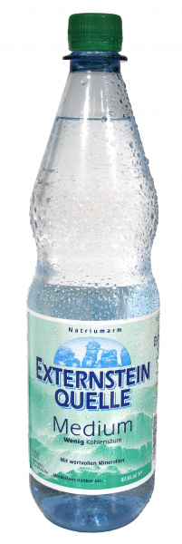 Externstein Quelle Medium 12x1l (PET)
