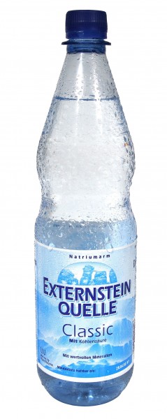 Externstein Quelle Classic 12x1l (PET)