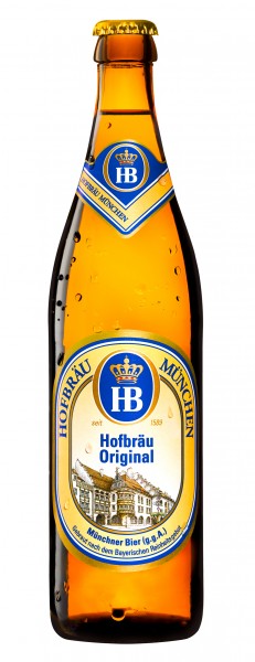 Hofbräu Münchener Original 20x0,5l MW