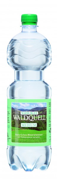 Warburger Medium 12x1l (PET)